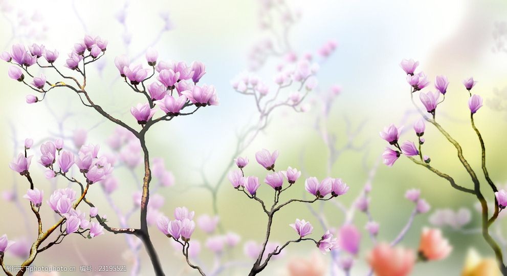 關鍵詞:鮮花風景背景 鮮花 創意背景 唯美背景 漂亮的花朵 紫色小花