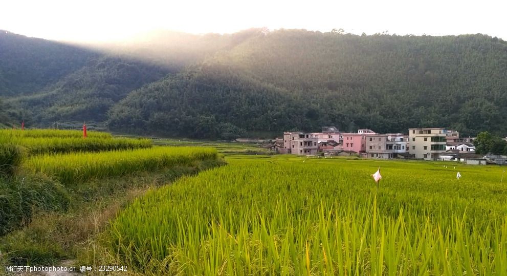 山頂 落日 輝光 日光 傍晚 田野 山川 鄉村 多媒體 實拍視頻 自然風光