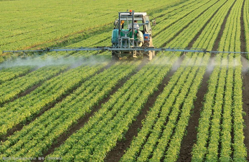 机械 农业生产 农作物 喷灌 农田 乡村风采 摄影 现代科技 农业生产