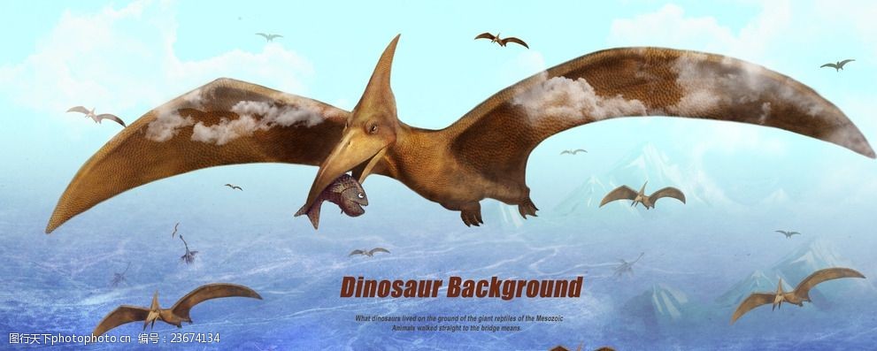 翼龙宣传设计海报