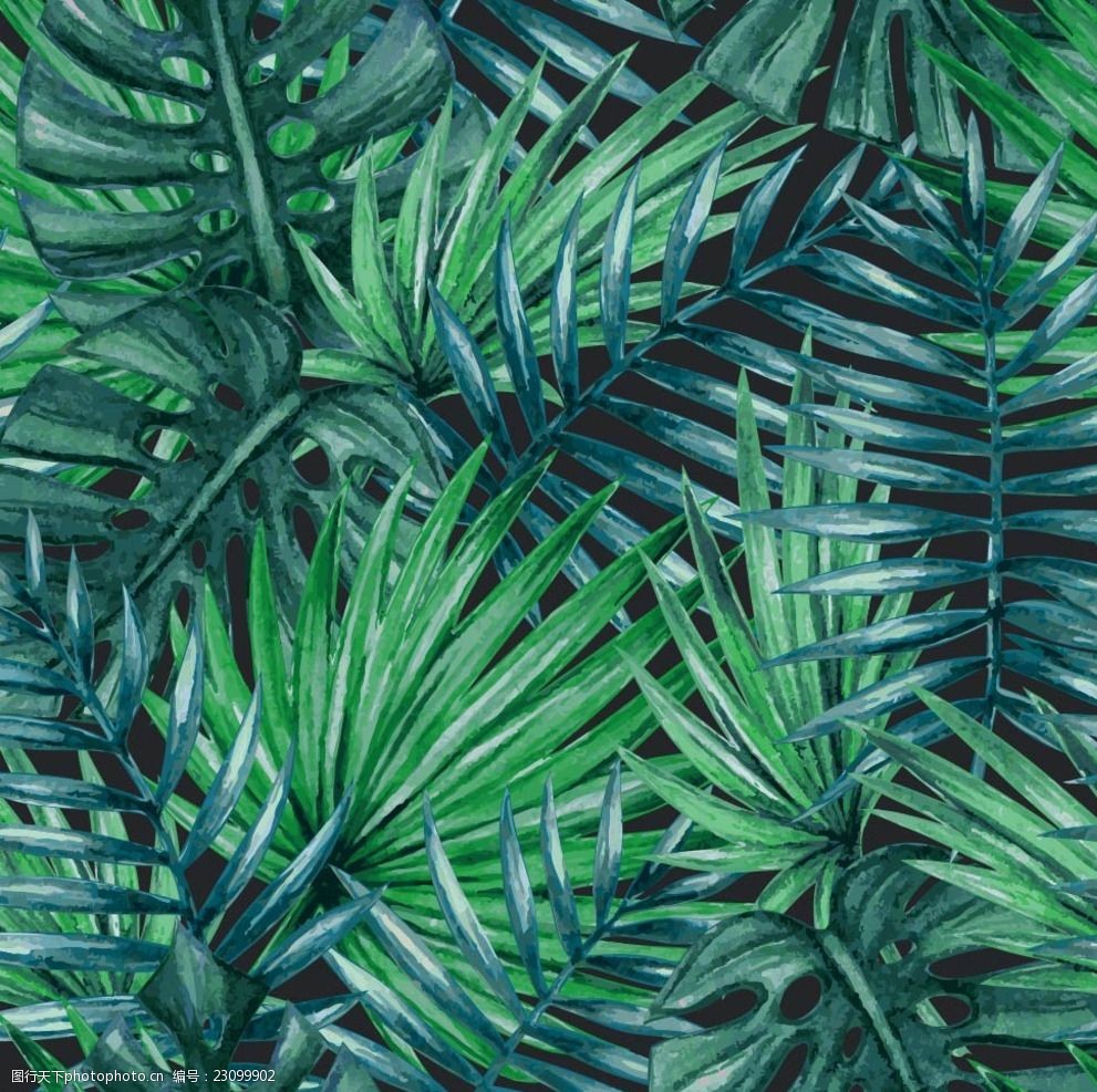 背景 底纹 青色 热带 蓝色 叶子 植物 热带植物 设计 底纹边框 背景