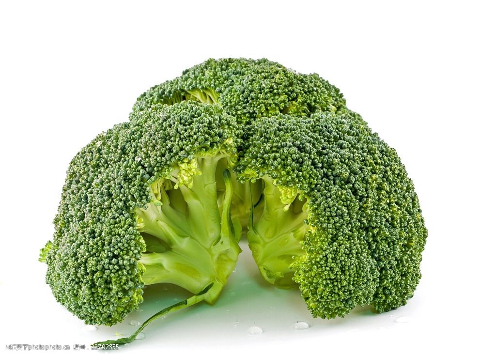 甘蓝花洋花菜球花甘蓝西蓝