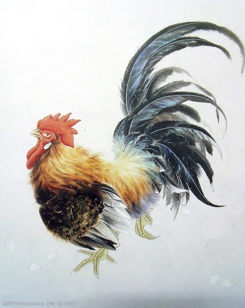 最著名的公鸡国画图片