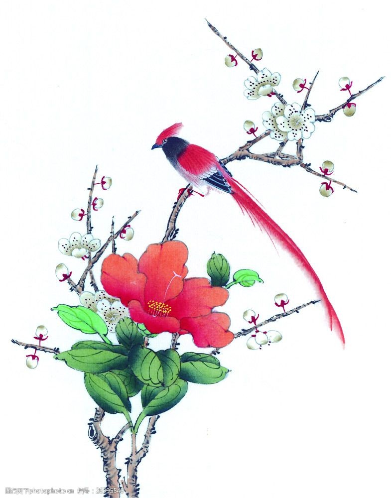 树枝上的鸟绘画图片