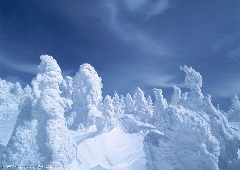 藍天下一望無際的雪景圖片