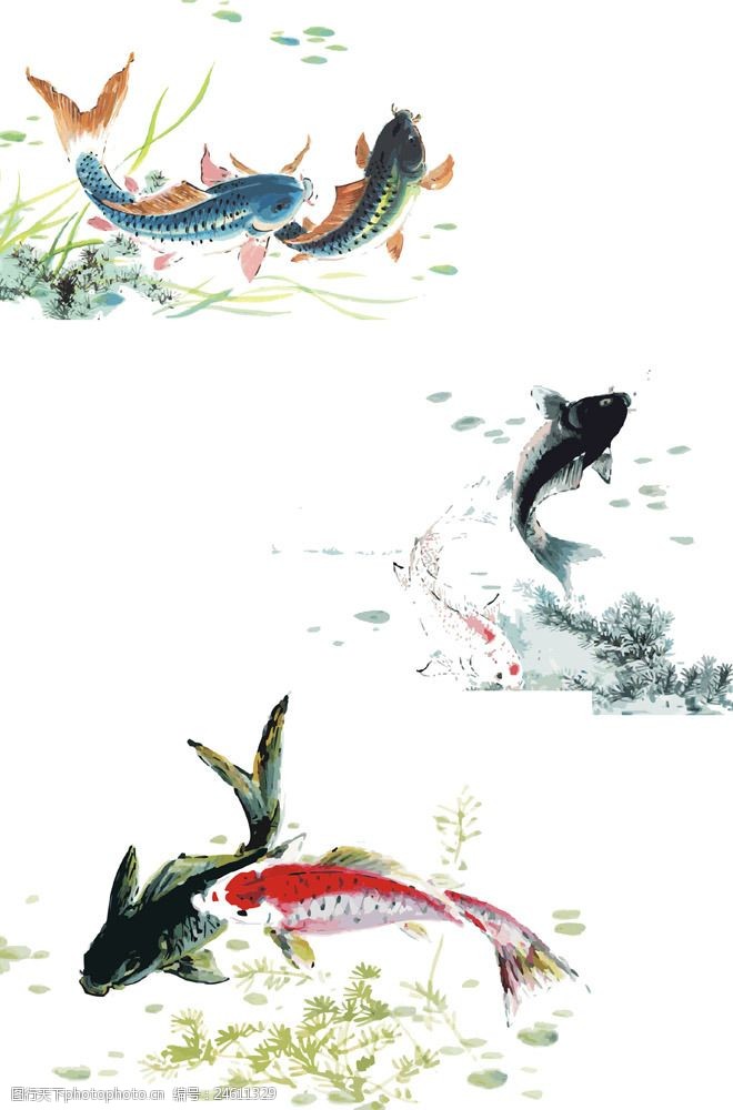 国画鱼图片