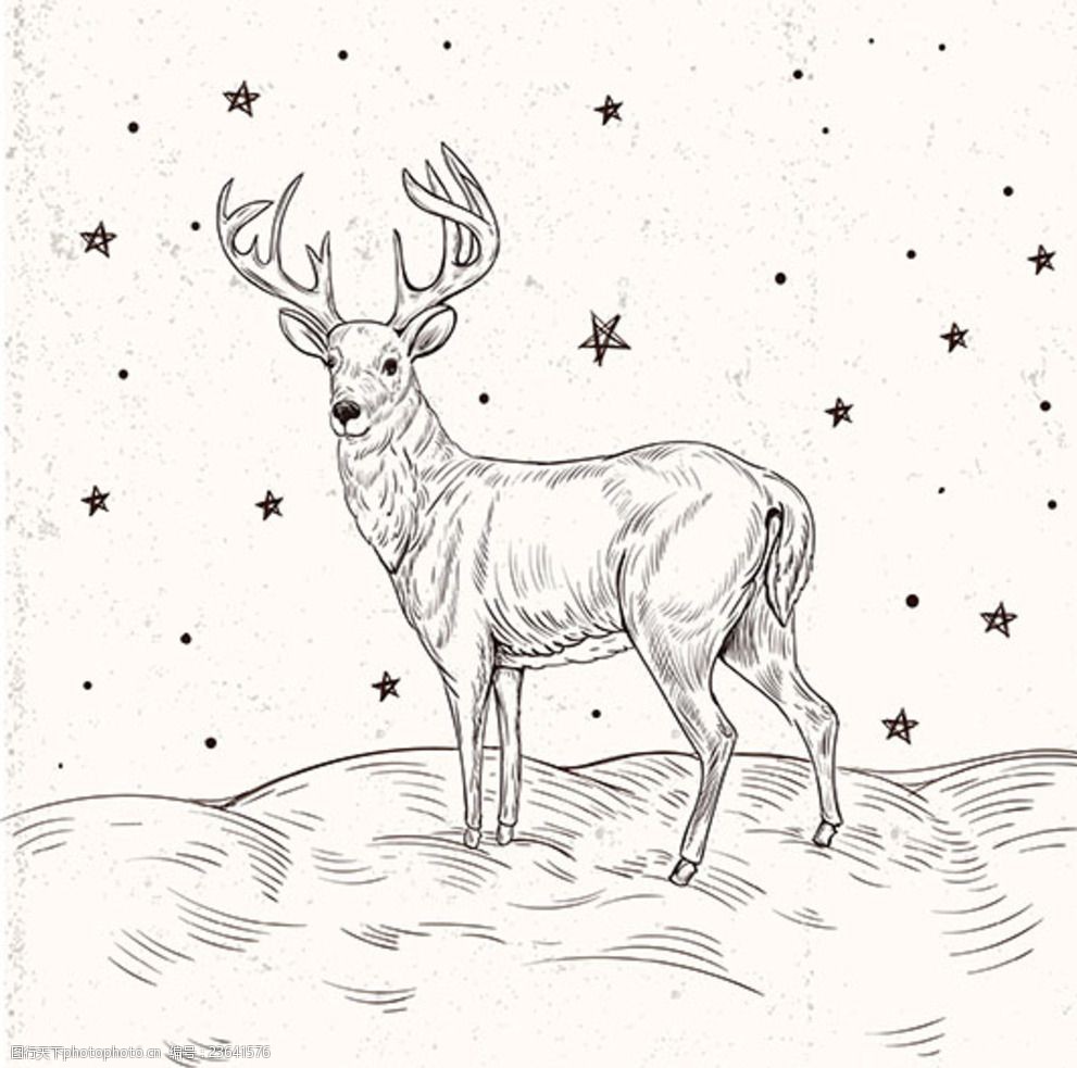手绘圣诞节写实驯鹿