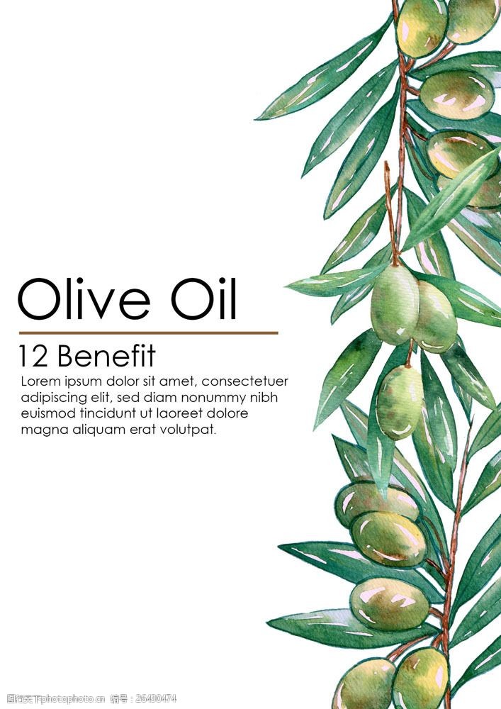 英文字母橄榄油包装图片