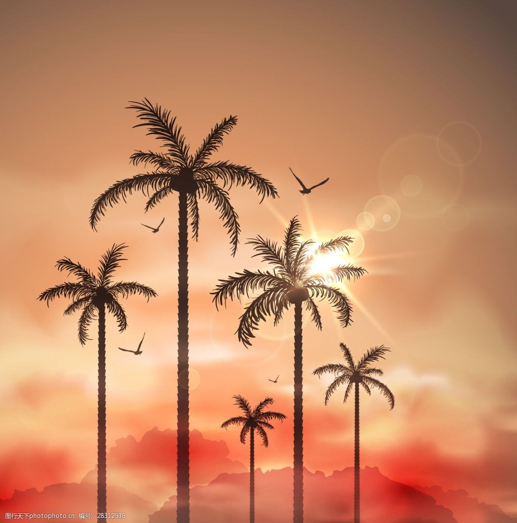 关键词:天空下的椰树子 风景 阳光 天空 椰树 夕阳