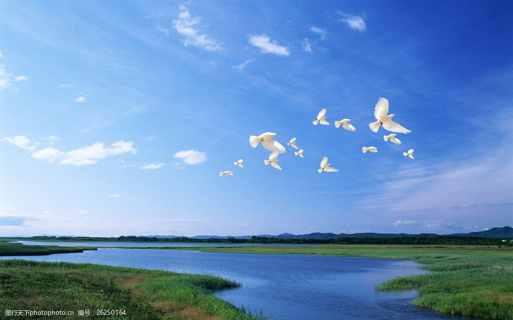 天空下的河流和飞鸟图片素材 天空 河流 草地 蓝天 飞鸟 山水风景