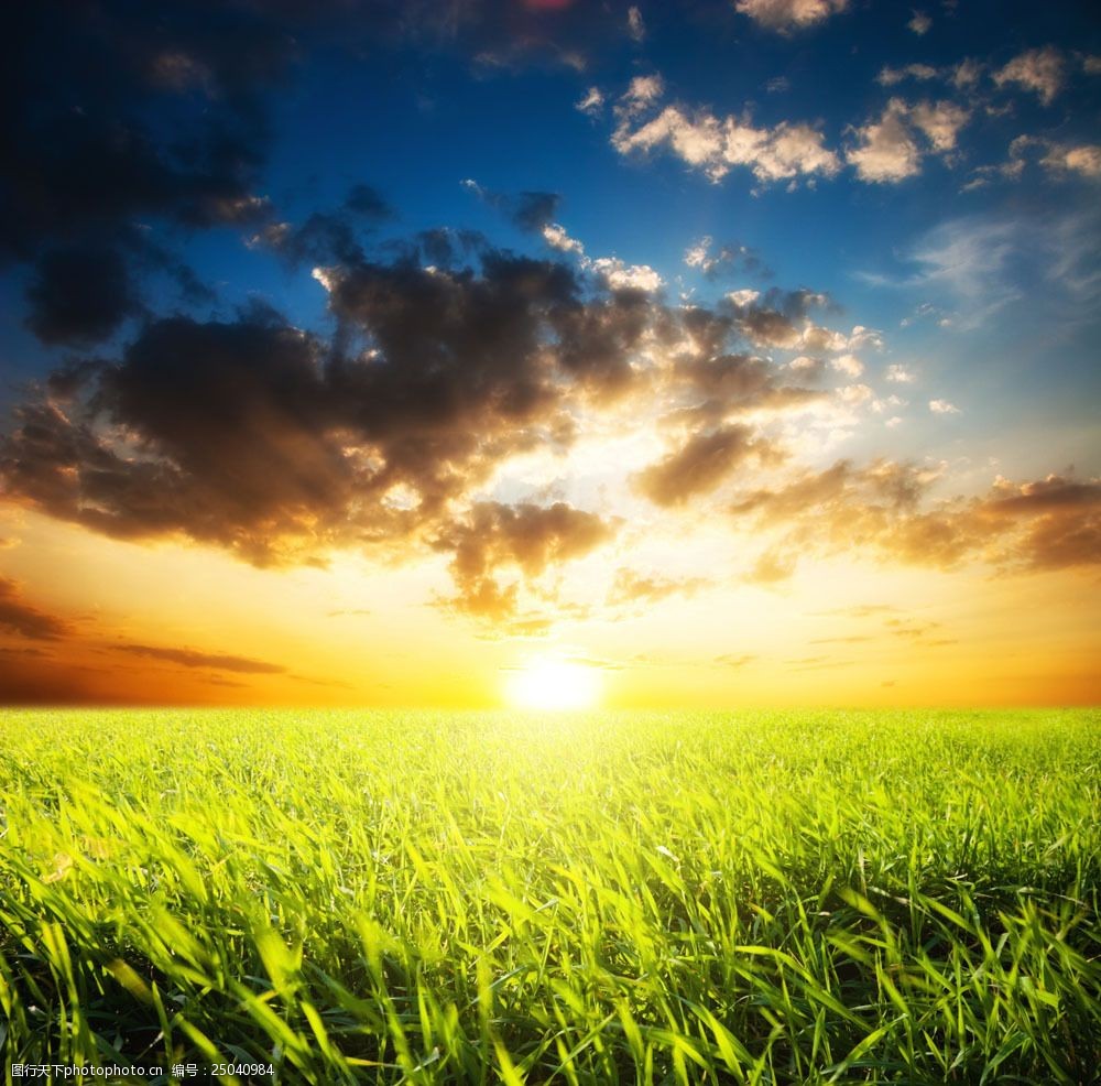 落日黄昏时报草原风景图片
