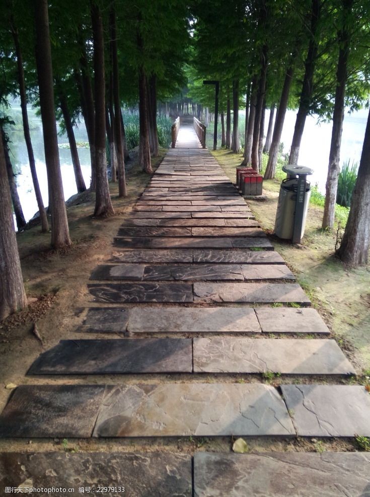 关键词:幽静石板路 石板路 青石路 树林 自然风景 地面 摄影 自然景观