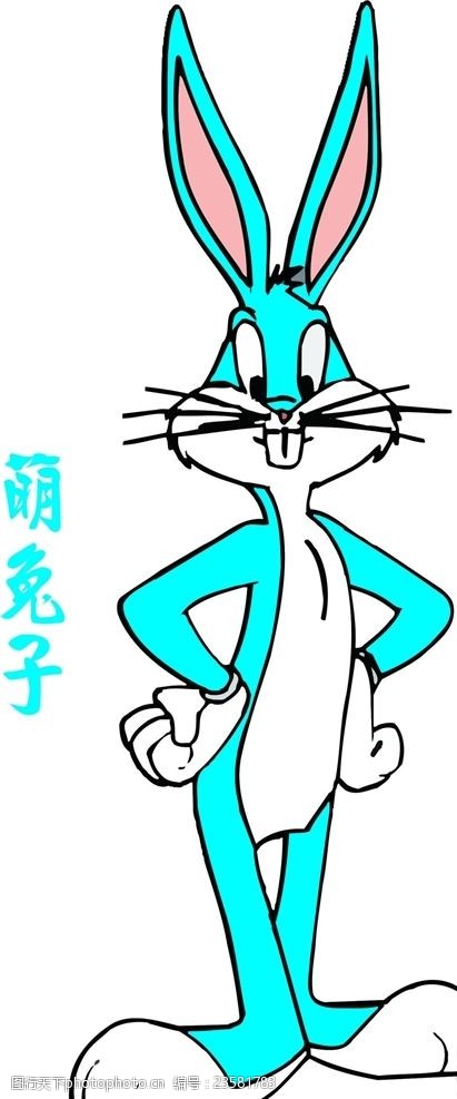 兔子图片 图行天下素材网