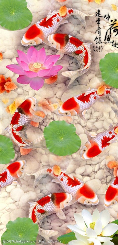 3d荷花九魚圖