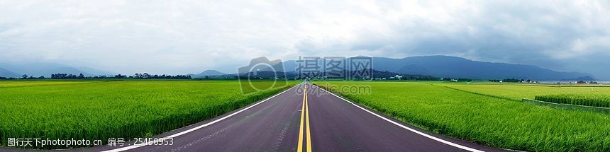 草地上的道路