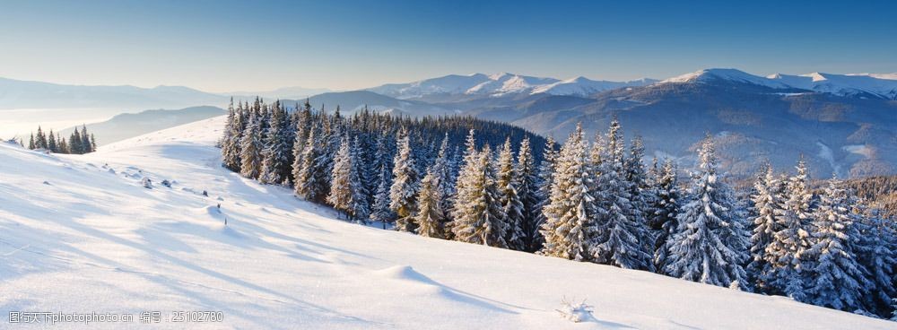美丽冬天树林雪景图片图片-图行天下图库