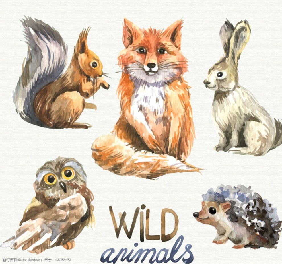 5款水彩绘野生动物矢量素材