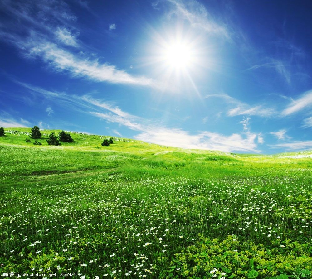 草原有太阳的真实照片图片