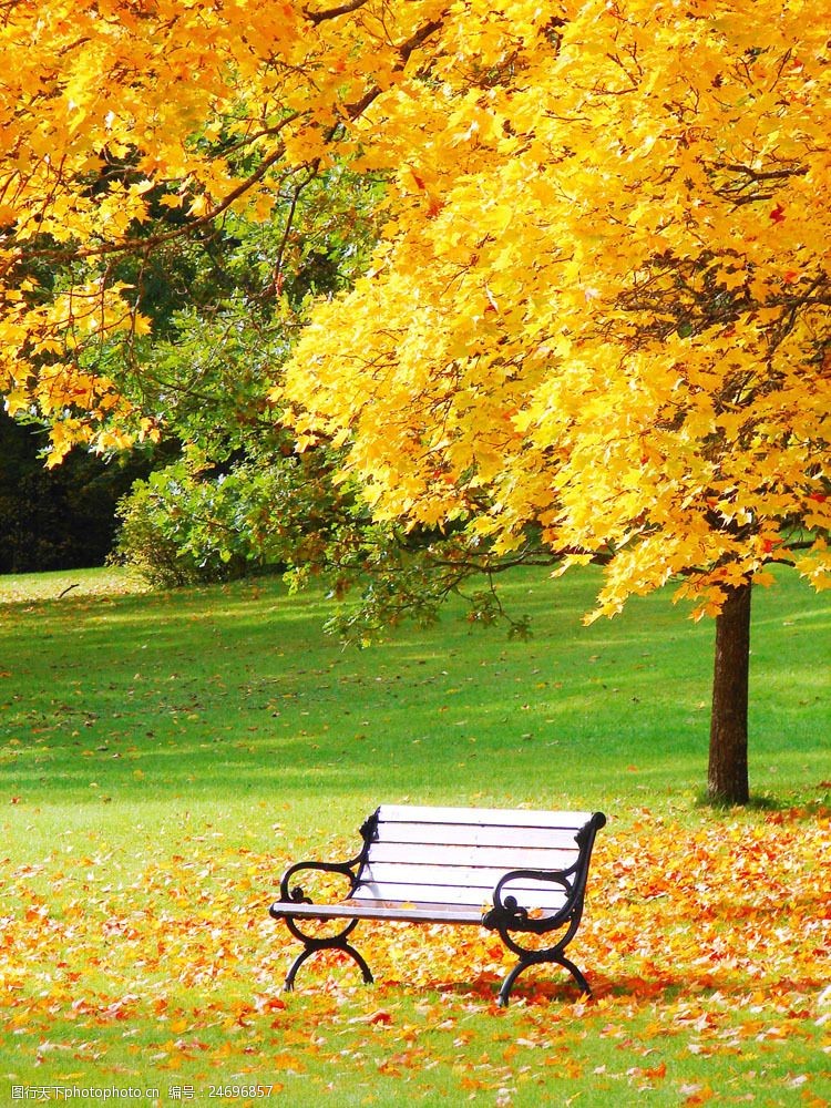 秋天景色简单图片