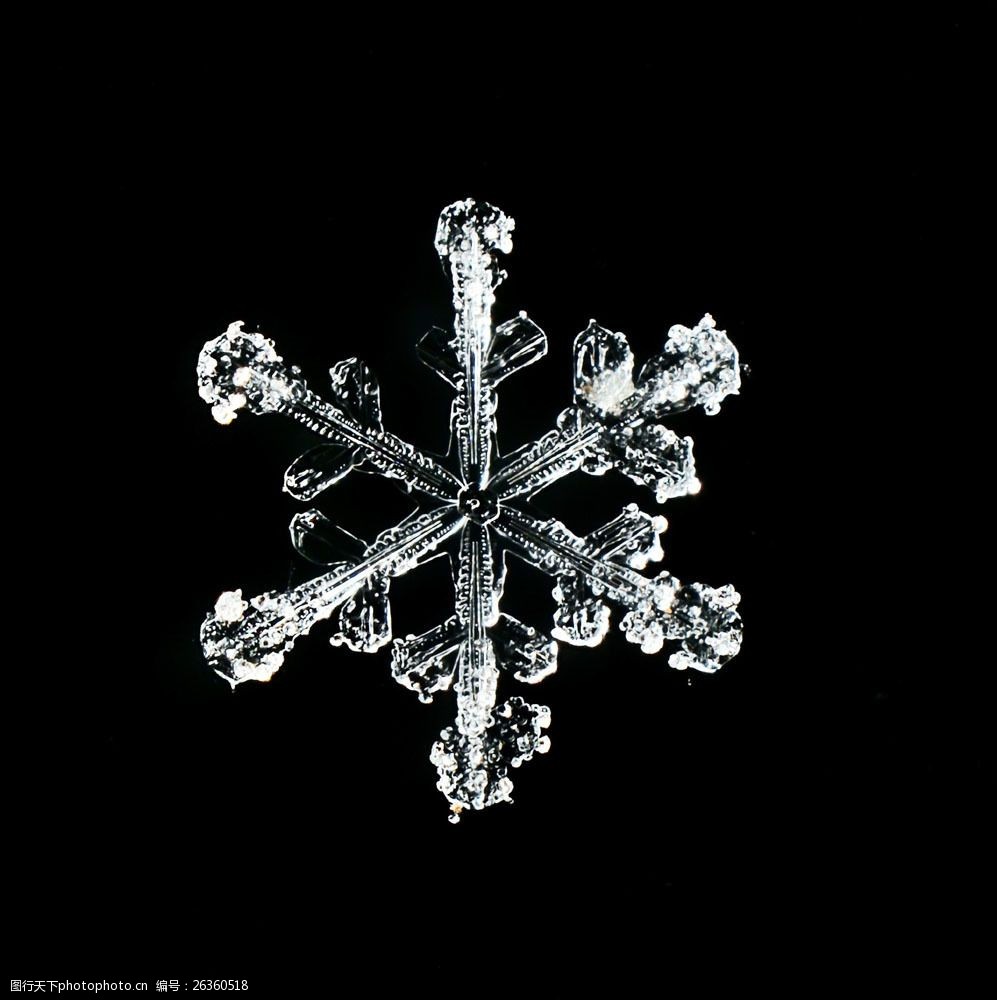 关键词:透明的冰晶雪花素材图片素材 冰晶雪花 透明 黑色背景 其他