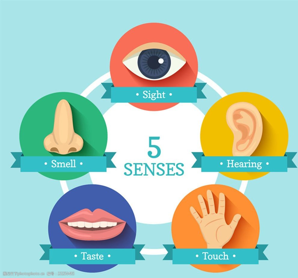 感观图标矢量素材 手 图标 眼镜 味 声 形 触觉 味觉 嗅觉 听觉 5感官