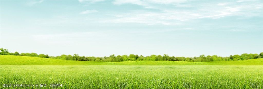 电商淘宝绿色草地banner背景