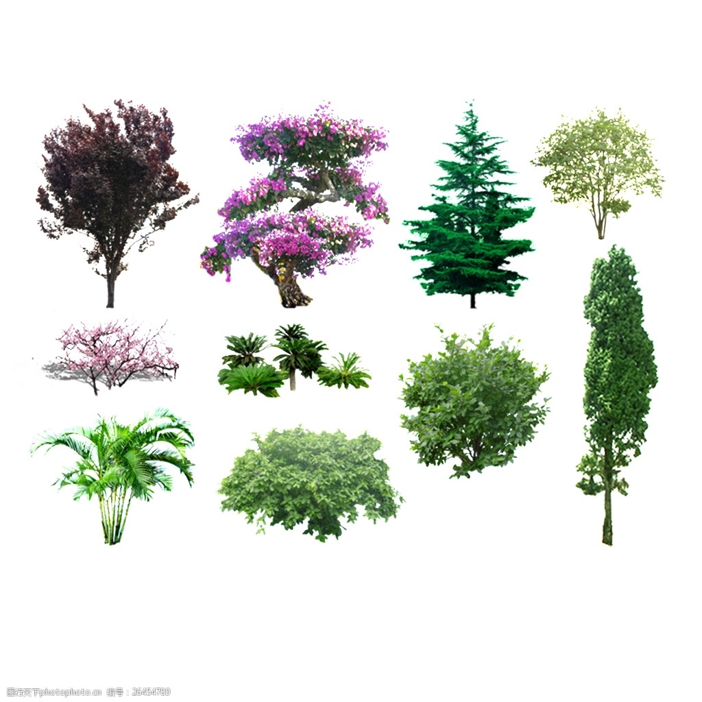 十种绿树园林绿化唯美素材