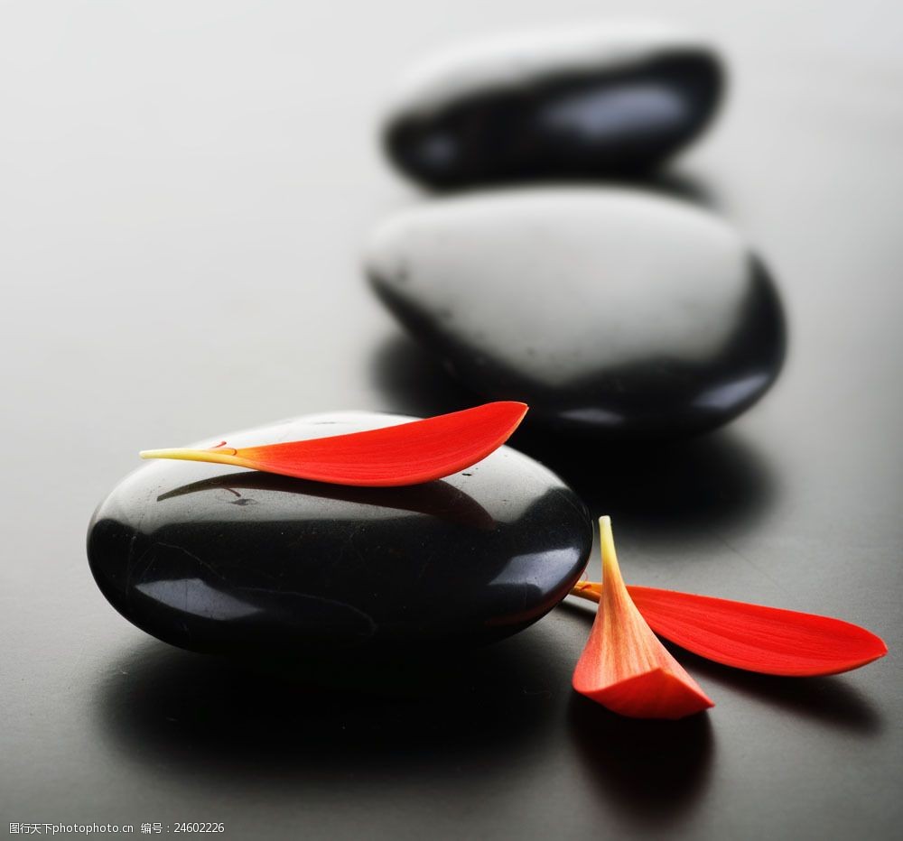 与鹅卵石图片素材 花瓣 鹅卵石 spa用品 spa水疗 spa美容养生 石头
