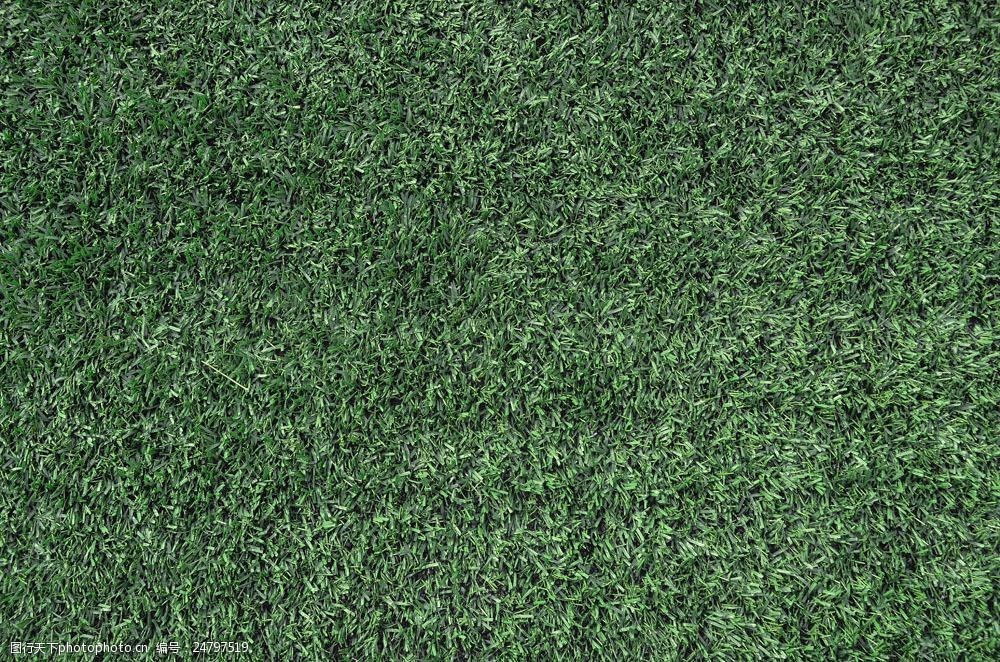 关键词:成片的草坪图片素材 成片 草地 植物 绿色 绿草 花草树木 生物