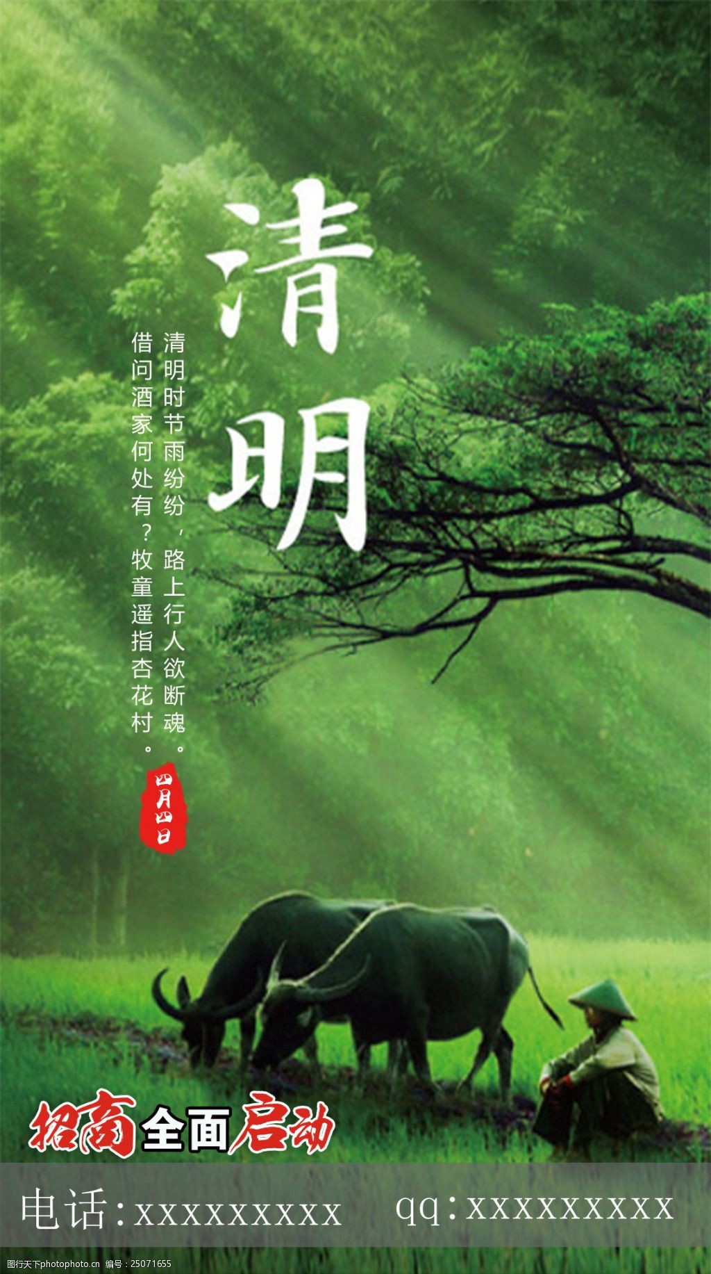 清明节绿色春意盎然细雨绵绵图片-图行天下图库