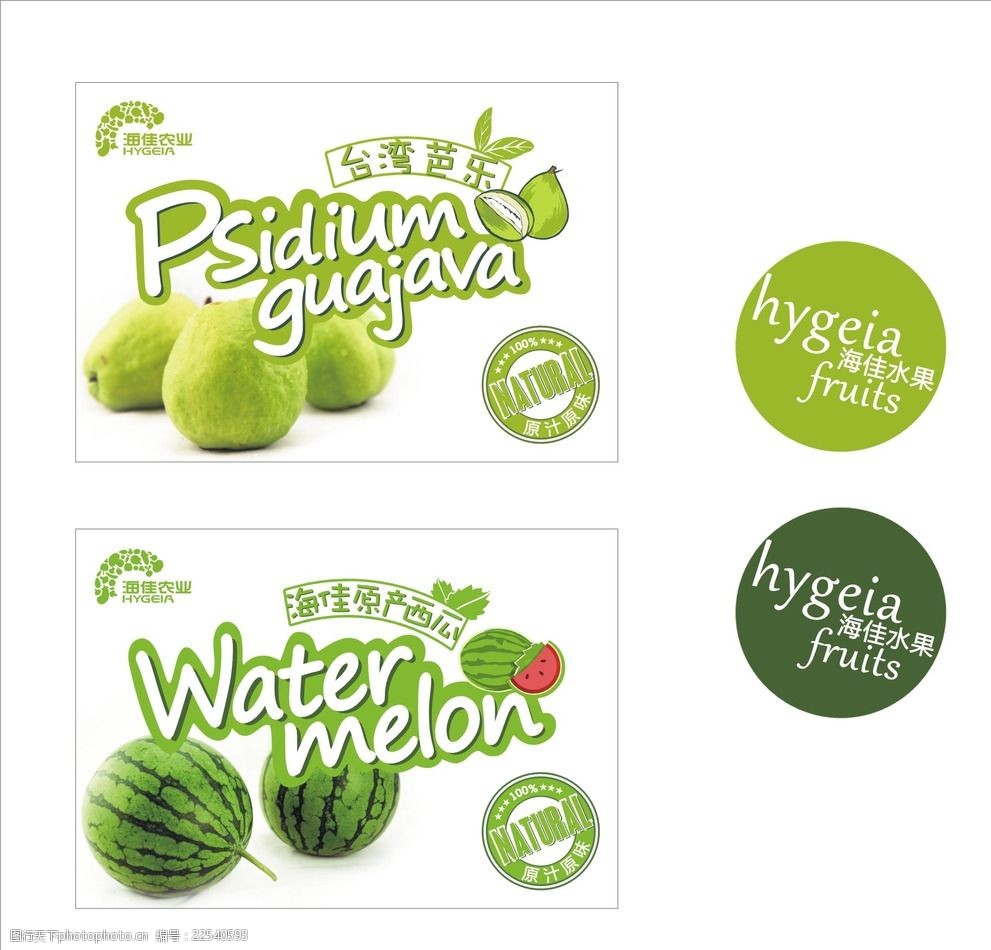 芭乐西瓜水果包装标签矢量图