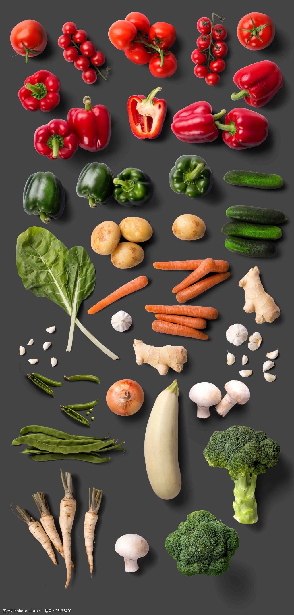 各种颜色新鲜蔬菜