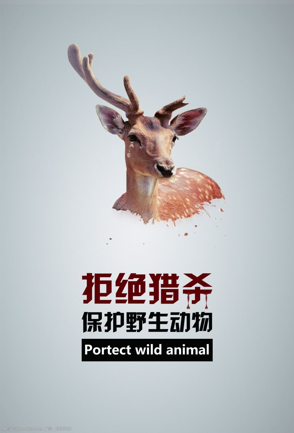 国家保护动物海报图片