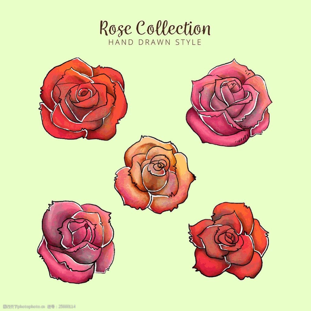 手绘风格五朵红玫瑰矢量素材