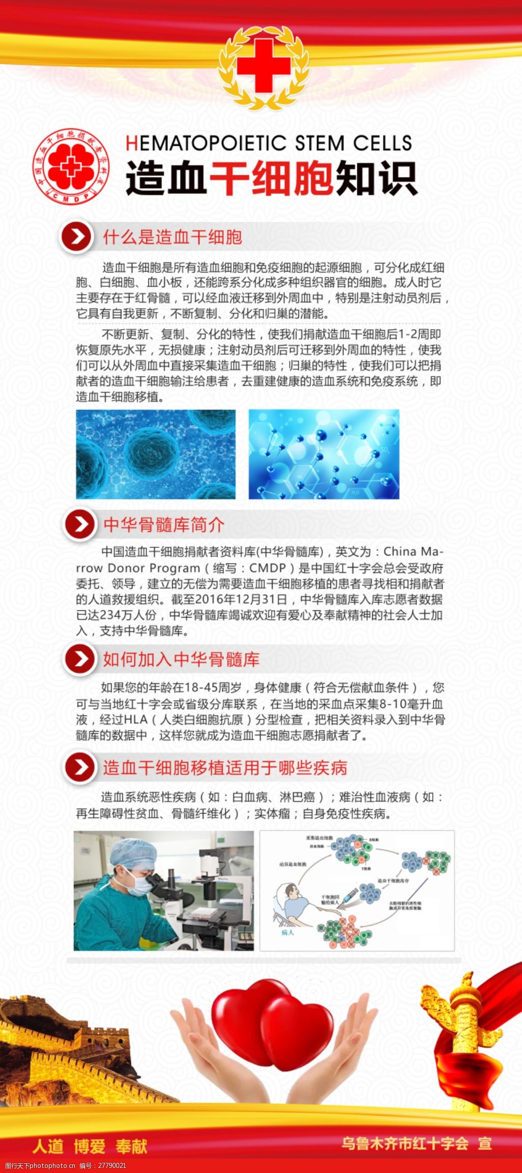 红十字造血干细胞知识展板