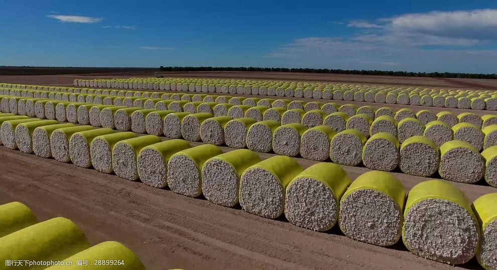 棉花种植生产基地