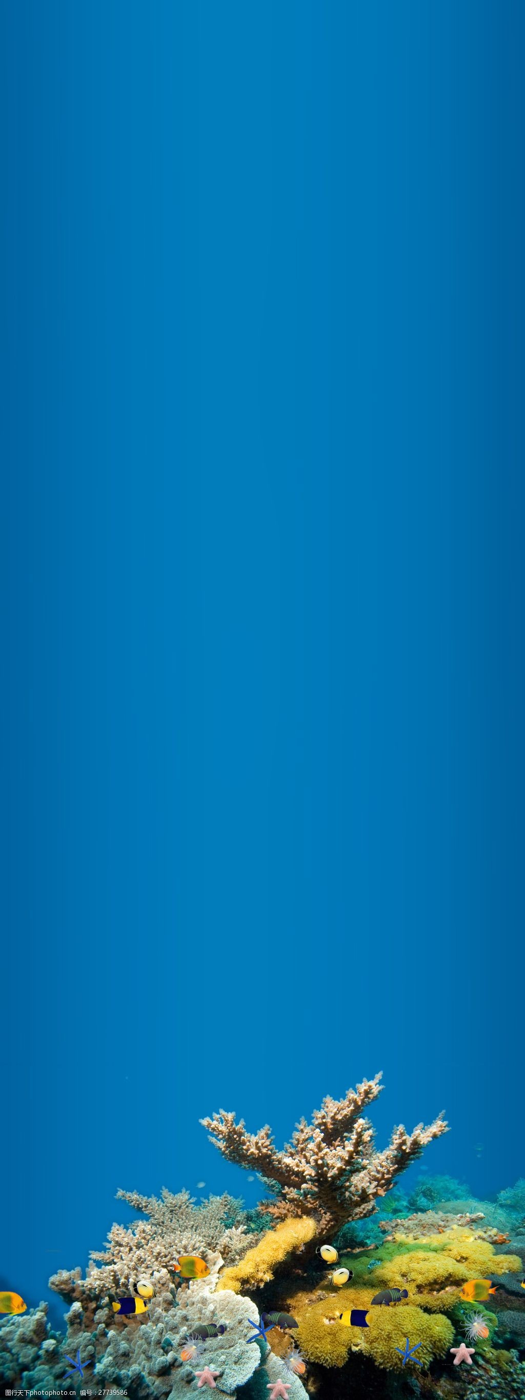 简约海底世界展板背景