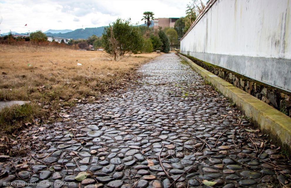 鹅卵石道路