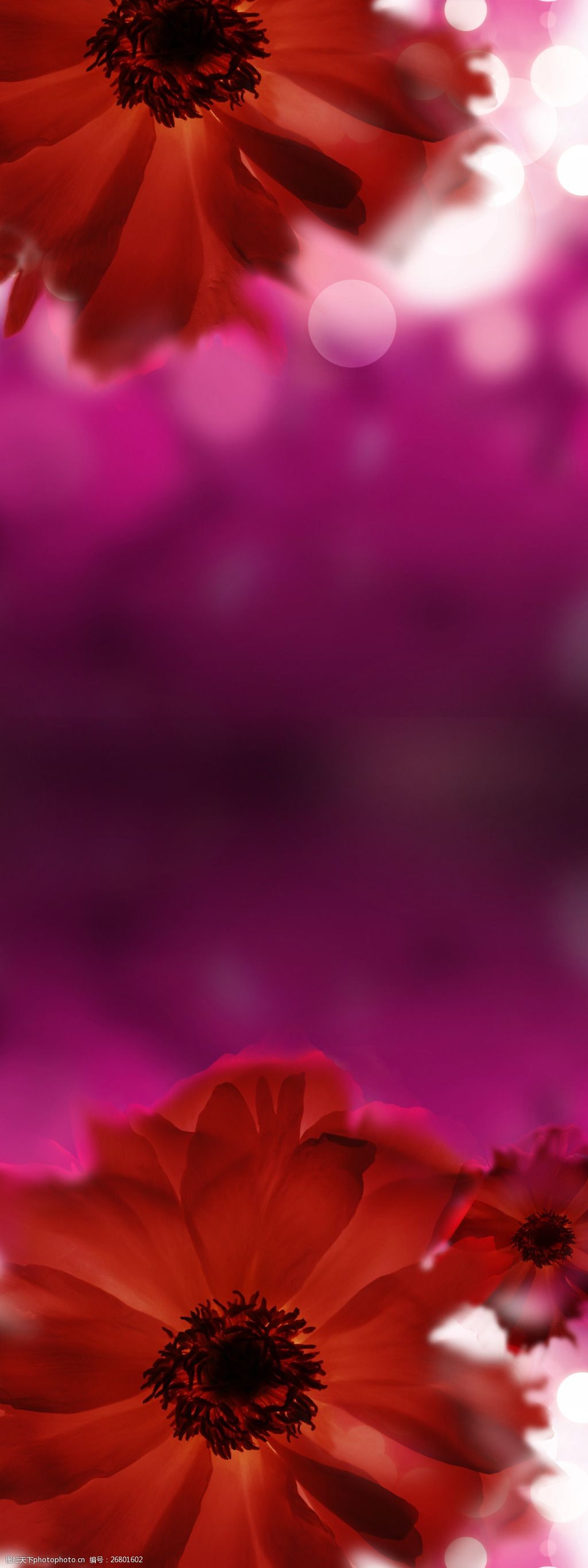 精美简约红色展板背景