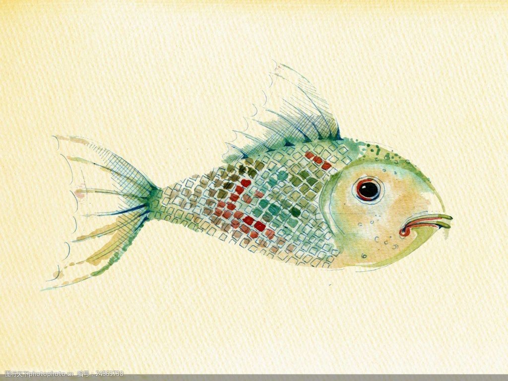 水彩鱼插画图