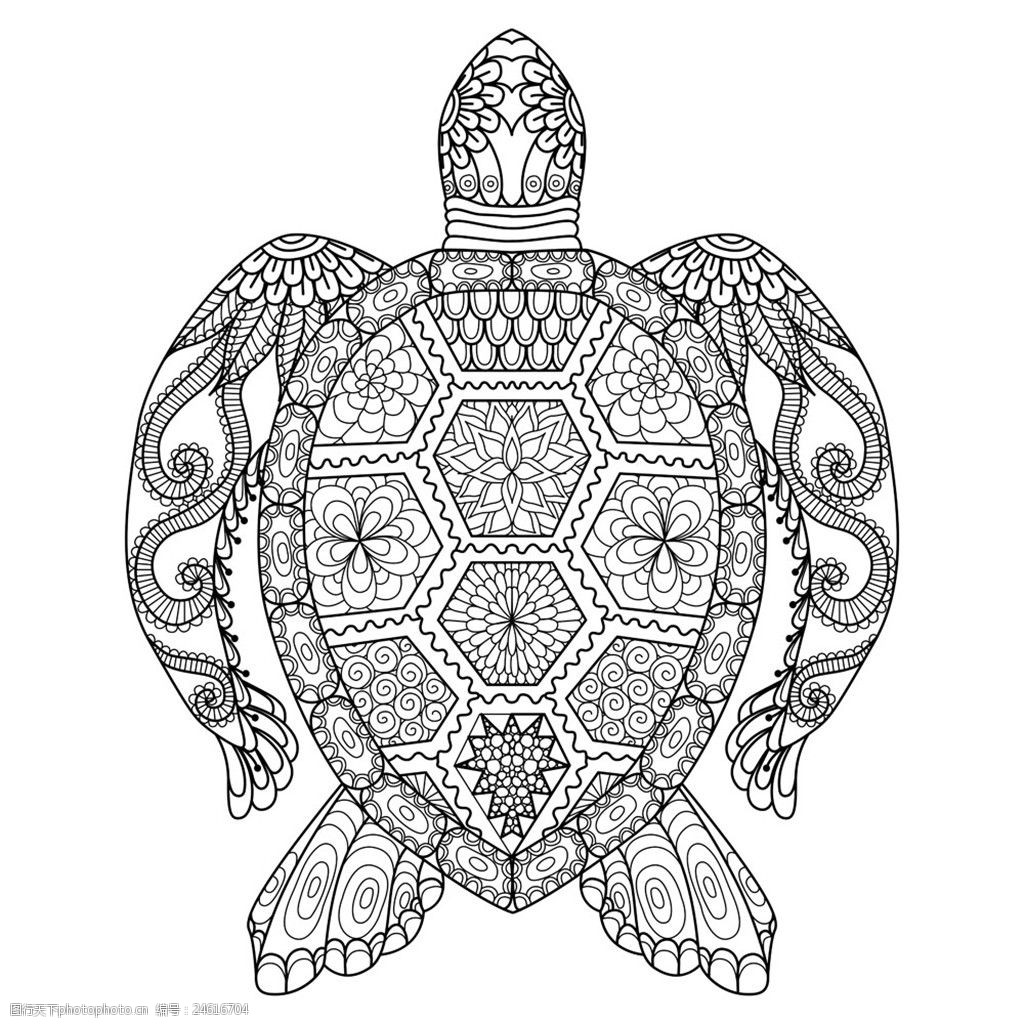 卡通海龟插画图片