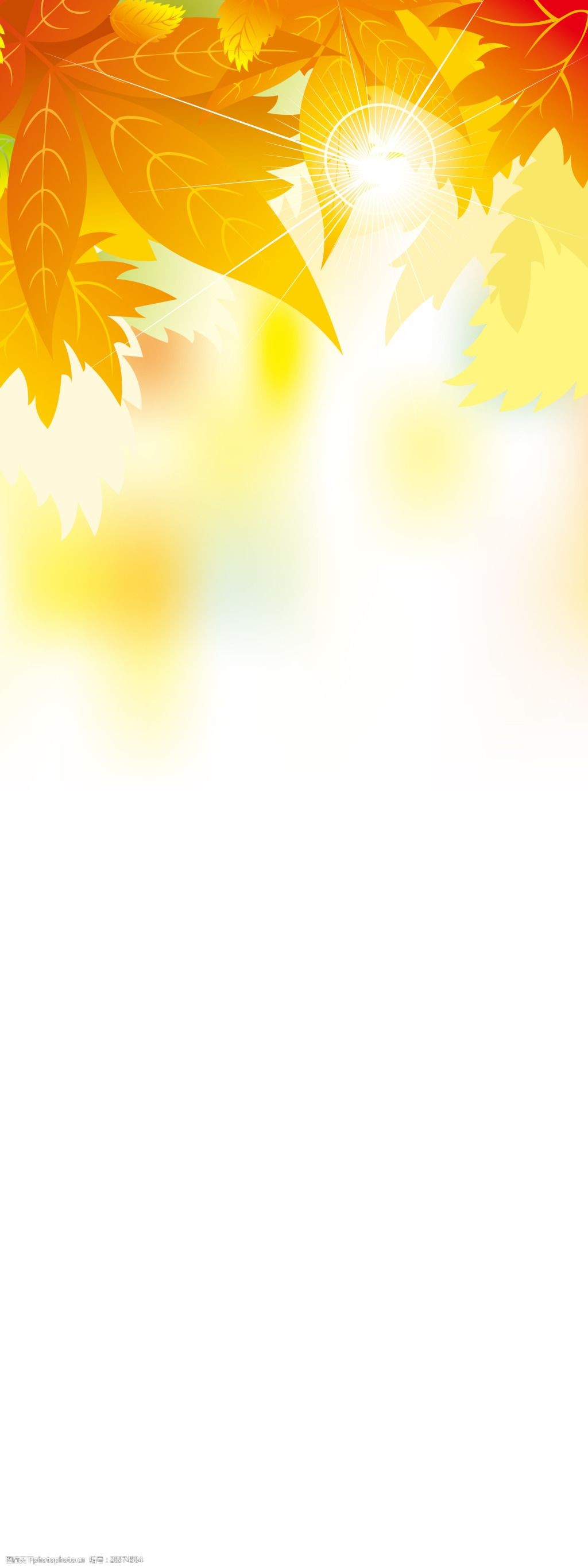 橙色枫叶海报展板背景