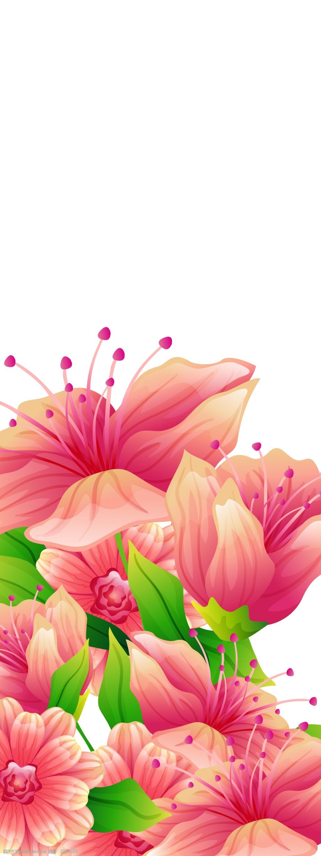 简约粉色花儿展板背景图片-图行天下图库