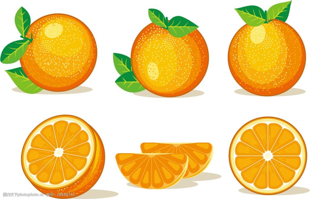 关键词:手绘橘子矢量素材 水果素材 矢量水果 水果 手绘水果 橘子