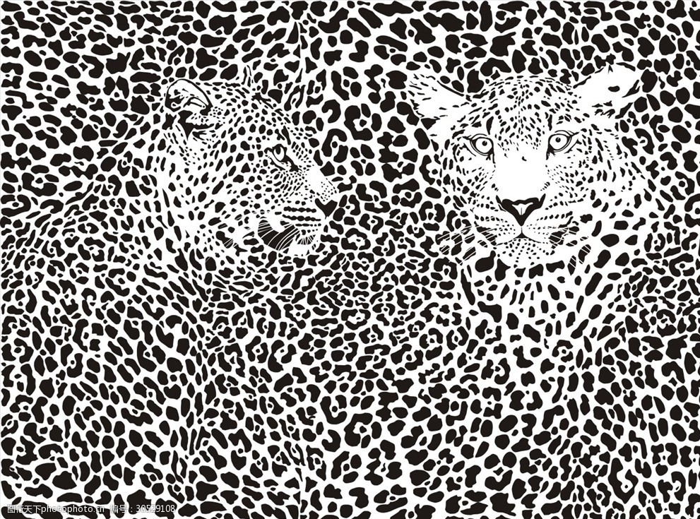 豹纹矢量图下载豹子矢量图下载