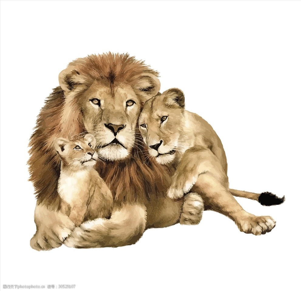 狮子矢量图图案下载