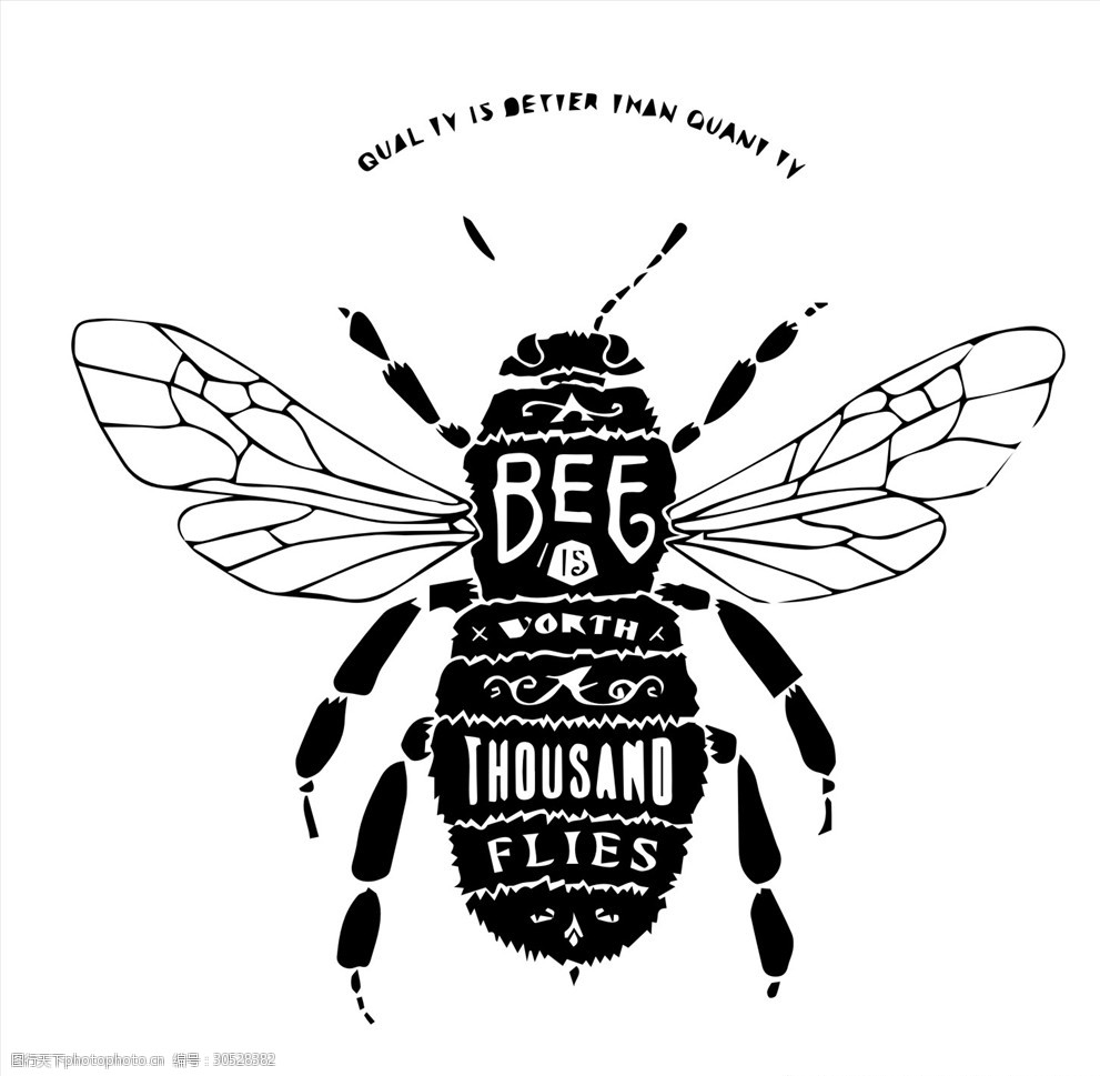 蜜蜂矢量图下载