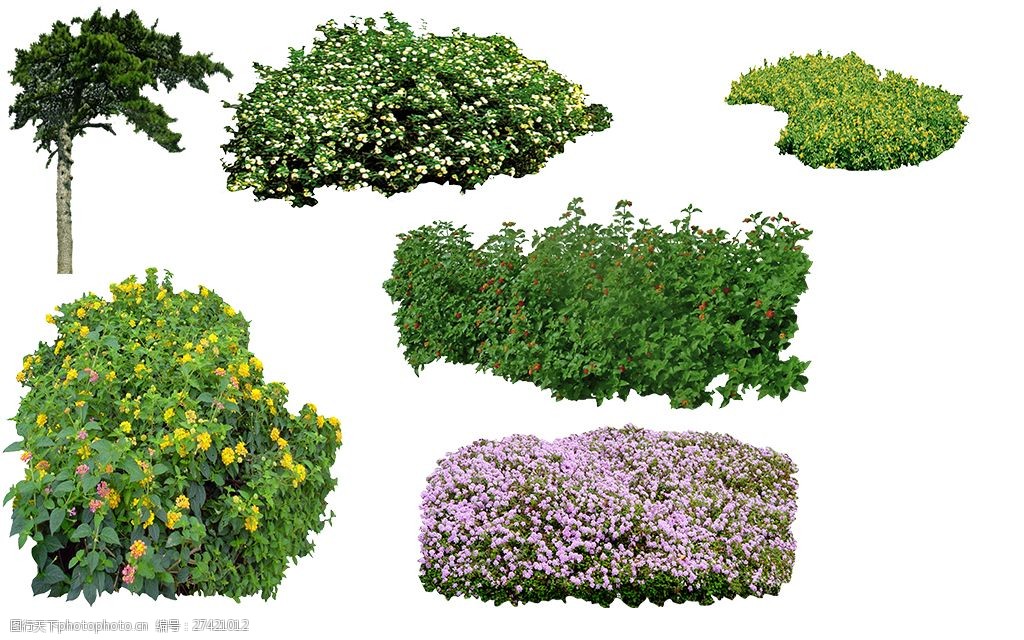 园林景观花草树林psd分层效果图图片