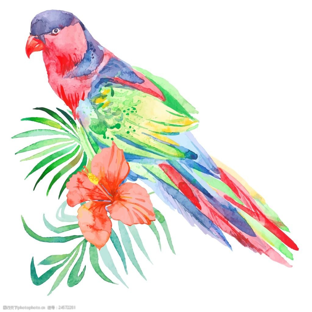 关键词:美丽的手绘鹦鹉 动物 花朵 热带 水彩绘 手绘 花卉 鹦鹉