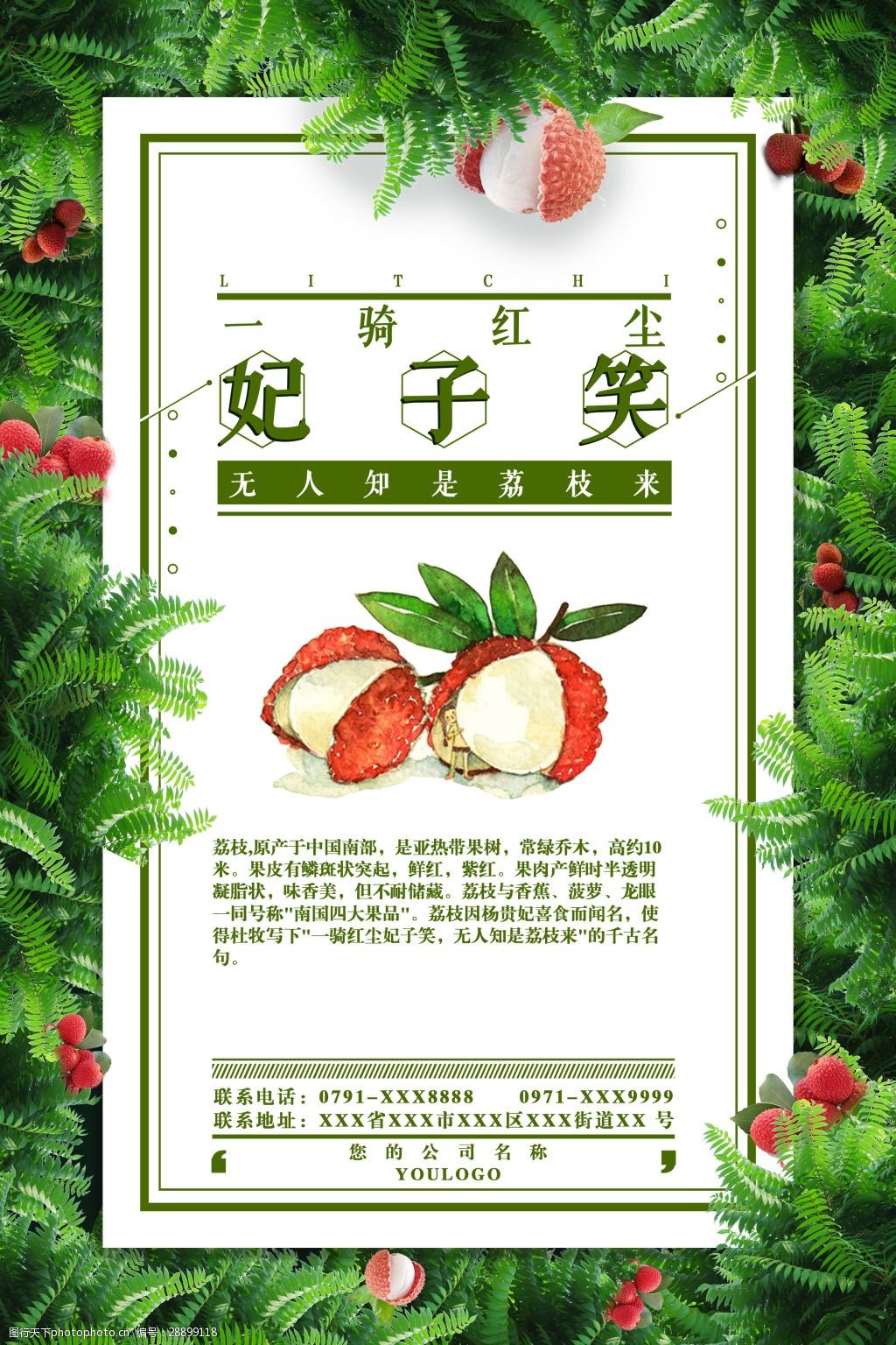 新鮮妃子笑荔枝海報促銷設計